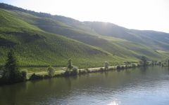 J.J. Prum Wehlener Sonnenuhr Winery Image