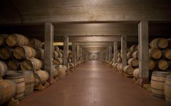 Bodegas Muga Winery Image