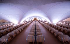 Otazu Barrel Room Winery Image