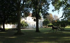 Chateau Mangot Chateau Mangot Winery Image