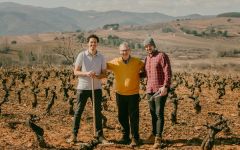 Vinos de Arganza Pruning Winery Image
