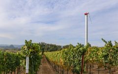 Crossbarn by Paul Hobbs Sonoma Coast Chardonnay Vineyard Winery Image