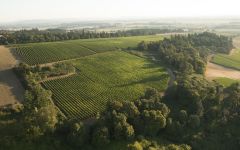 Willamette Valley Vineyards Elton Vineyards in Eola-Amity Hills AVA Winery Image