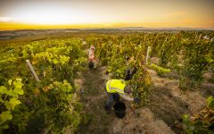 Two Hands Wines Winery Image