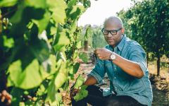 Maison Noir Wines André in the Vineyard Winery Image