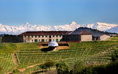 Ceretto Winery Image