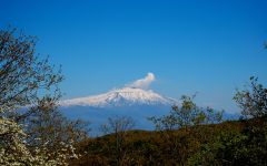 Tascante Mt. Etna - Tascante Winery Image