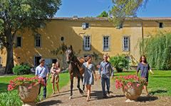 Domaine Montrose The Coste Family Winery Image
