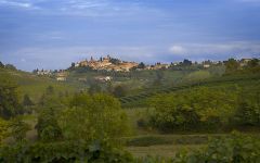 Bruno Giacosa Vineyards and Winery in Neive Winery Image