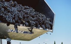Ziobaffa Grape Sorting Winery Image
