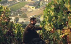Henri Bourgeois Winery Image
