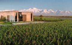 Vina Cobos The Winery in Mendoza Winery Image
