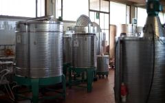 Bordiga Distillery Winery Image