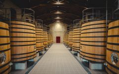 Chateau Brane-Cantenac Château Brane-Cantenac Vats Room Winery Image