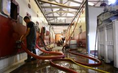 Domaine de la Janasse Vinification Winery Image