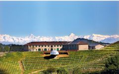 Ceretto Monsordo Bernardina Estate Winery Image