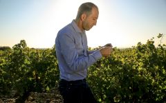 Chateau Saint-Roch Jean-Marc Winery Image