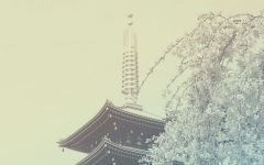 Tozai Kyoto Winery Image