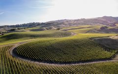 Three Sticks Gap’s Crown Vineyard Sonoma Coast Winery Image