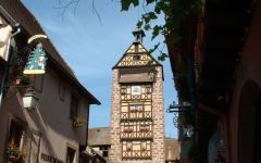 Hugel Winery Image