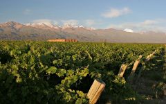 Andeluna Winery Image