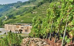 Vidal-Fleury Winery Image