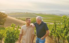Protege Mentor & Protégé Winery Image