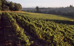 EnRoute Winery Winery Image
