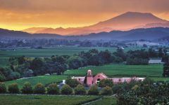 Groth Vineyards & Winery Rooted in Oakville Winery Image