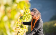 J Wilkes Wes Hagen-Winemaker Winery Image