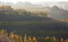 Domaine des Baumard Quarts de Chaume Winery Image