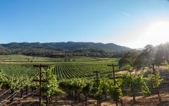 The Hess Collection Allomi Vineyard Winery Image