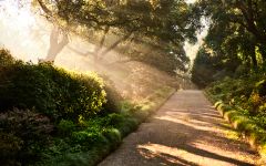 Aveleda Gardens  Winery Image