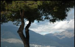 Cantina Gabriele  Winery Image