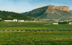 Bodegas Juan Gil Juan Gil Winery, Jumilla, Spain Winery Image