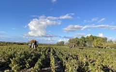 Chateau La Fleur Saint-Bonnet Vineyards Winery Image