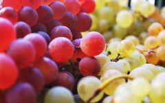 Clos Amador  Winery Image