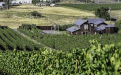 The Calling Terra de Promissio Winery Image