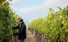 Paul Hobbs  Winery Image