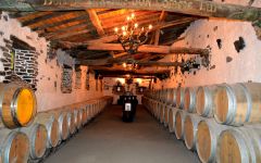 Chereau Carre The historic cellars of Chereau Carre Winery Image