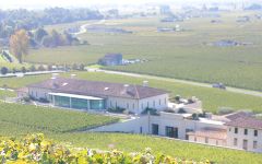 Chateau Pavie Chateau Pavie Harvest Winery Image