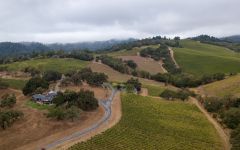 Arista Winery Arista Estate Vineyards Winery Image