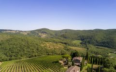 Tomaiolo The Castellani Family Winery Winery Image