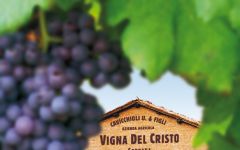 Cantine Cavicchioli Winery Image