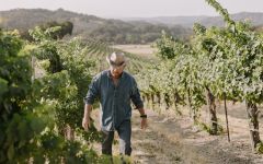 Broadside Head Winemaker Adam Lazarre Winery Image