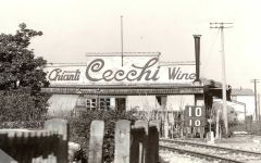 Cecchi Original Cecchi Winery in Chianti Winery Image