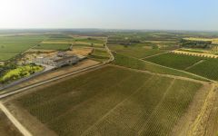 Masseria Li Veli Estate Vineyards Winery Image