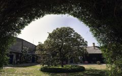 Regaleali Tenuta Regaleali Property Winery Image