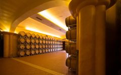 Tolaini Winery Image