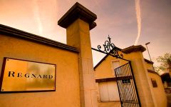 Regnard Régnard in Chablis Winery Image
